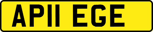 AP11EGE