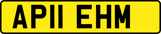 AP11EHM