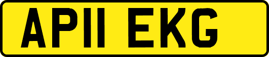 AP11EKG