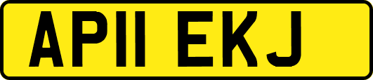AP11EKJ