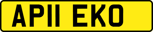 AP11EKO
