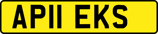 AP11EKS