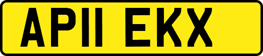 AP11EKX