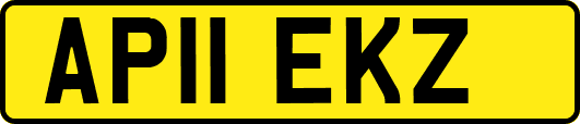 AP11EKZ