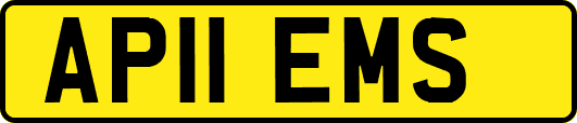 AP11EMS