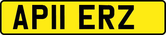 AP11ERZ