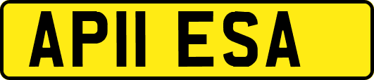 AP11ESA