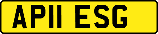 AP11ESG