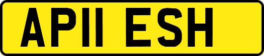 AP11ESH