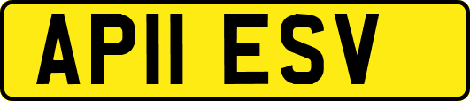 AP11ESV