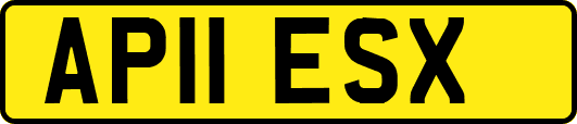 AP11ESX
