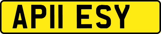 AP11ESY