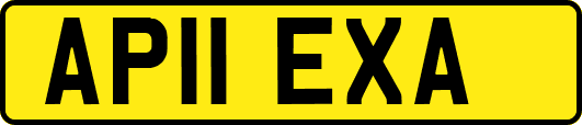 AP11EXA