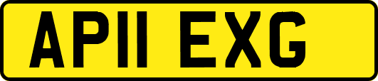 AP11EXG