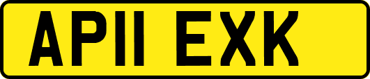 AP11EXK