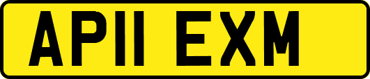 AP11EXM