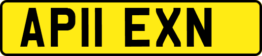 AP11EXN