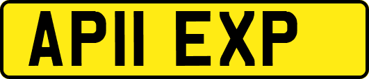 AP11EXP