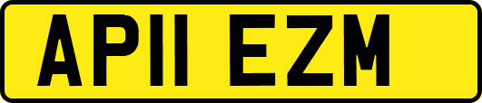 AP11EZM