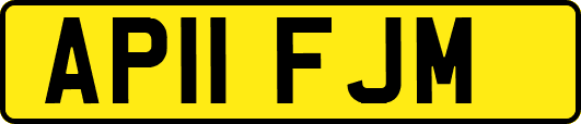 AP11FJM
