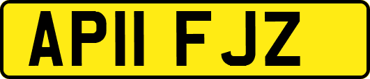 AP11FJZ