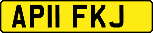 AP11FKJ