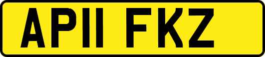 AP11FKZ