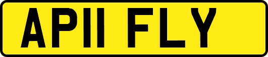 AP11FLY