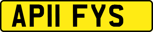 AP11FYS