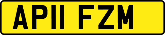 AP11FZM