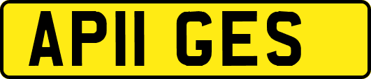 AP11GES