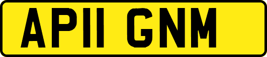AP11GNM