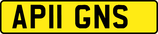AP11GNS