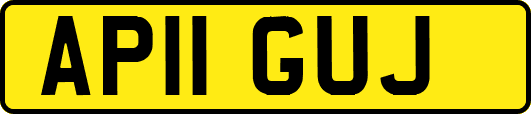 AP11GUJ