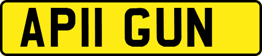 AP11GUN