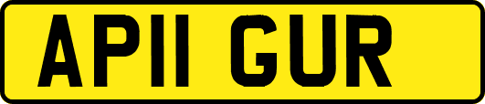AP11GUR