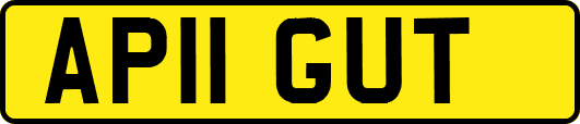 AP11GUT