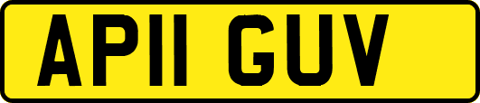 AP11GUV