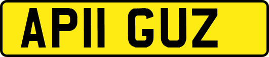AP11GUZ