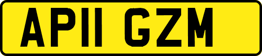AP11GZM