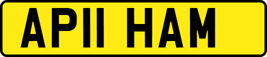 AP11HAM