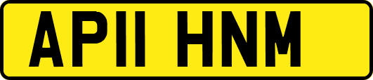 AP11HNM