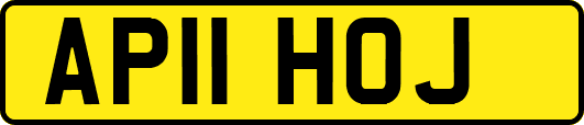 AP11HOJ