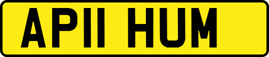 AP11HUM