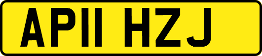 AP11HZJ