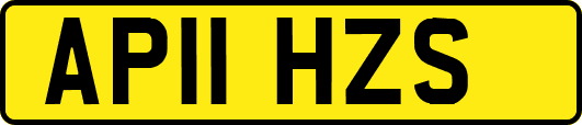 AP11HZS