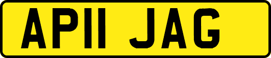 AP11JAG