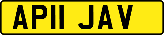 AP11JAV