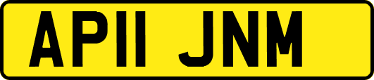 AP11JNM