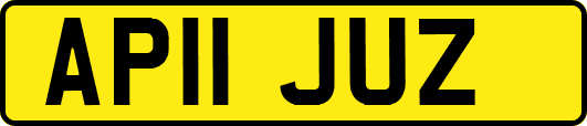 AP11JUZ